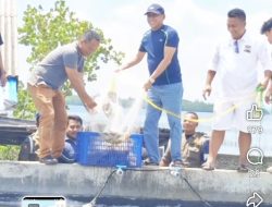 DPRD Butur Akan Perjuangkan Pengembangan Budidaya Udang Vaname