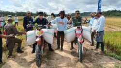 Bupati Konsel Irham Kalenggo Pimpin Panen Raya 