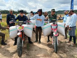 Bupati Konsel Irham Kalenggo Pimpin Panen Raya 