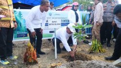 Bupati Busel Adios Tanam Pohon Lakukan Penghijaun  di Bandar Batauga