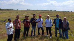 Pemkab Buton Selatan Percepat Penyiapan Pembangunan PLTS di Wilayah Kepulauan